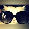 chellsyg